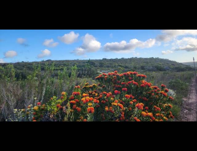 FARM FOR SALE IN STILBAAI RURAL